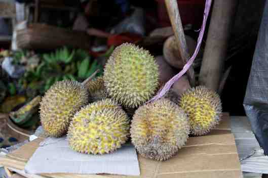 King of fruits - Durian