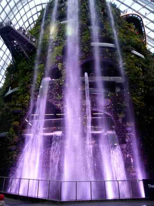 Entrance of the Cloud Forest