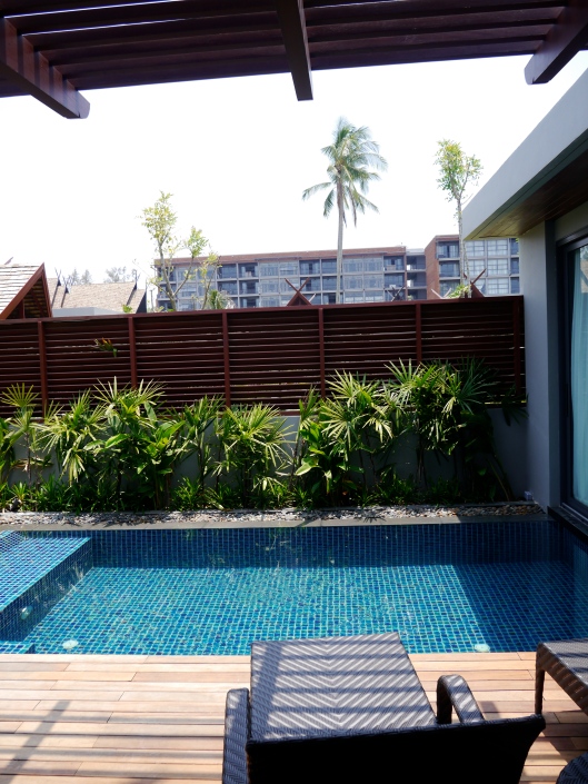 Pool which is beside the living room and in front of the bedroom